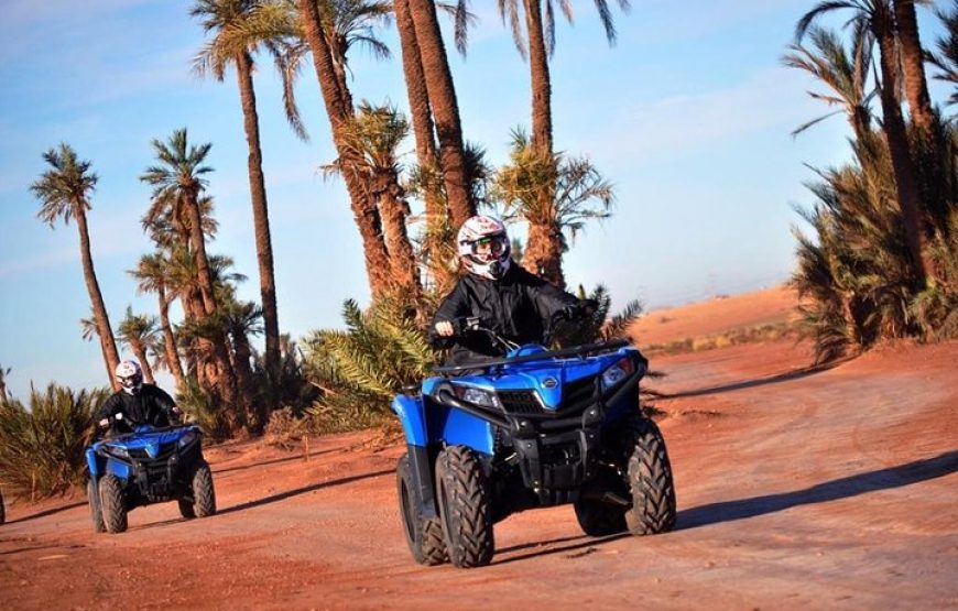 Escape to the Palmeraie: Quad Biking Adventure in the Oasis of Marrakech