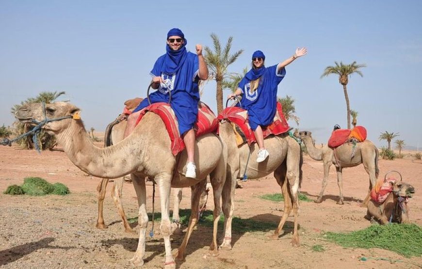 Escape to the Palmeraie: Camel Riding Adventure in the Oasis of Marrakech