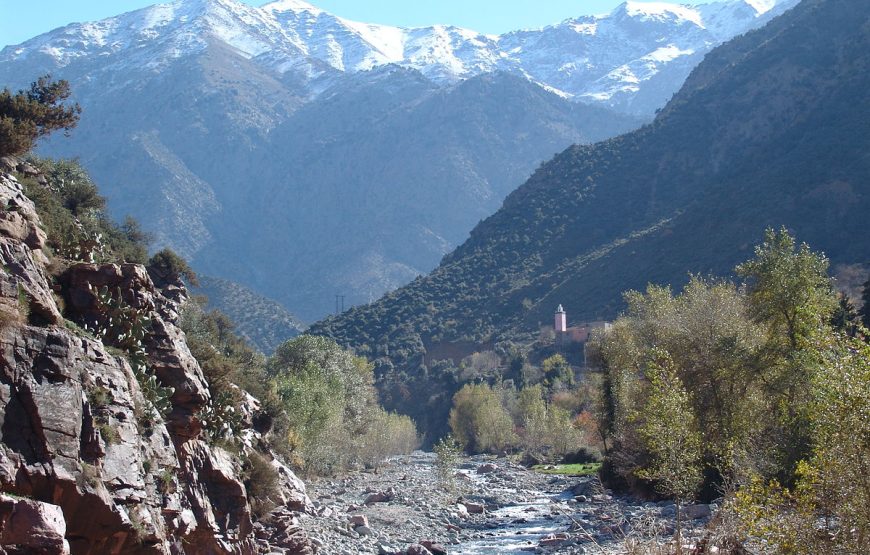 Discover the Beauty of Ourika Valley: A Day Trip from Marrakech