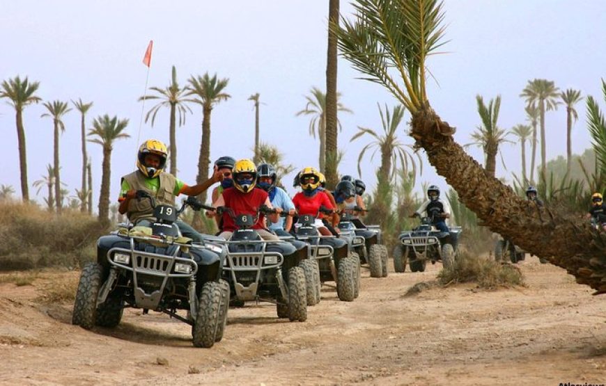 Escape to the Palmeraie: Quad Biking Adventure in the Oasis of Marrakech