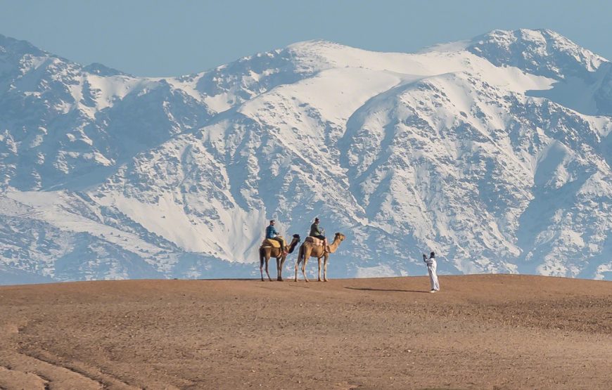 Experience the Magic of AGAFAY: Your Desert Adventure Awaits!