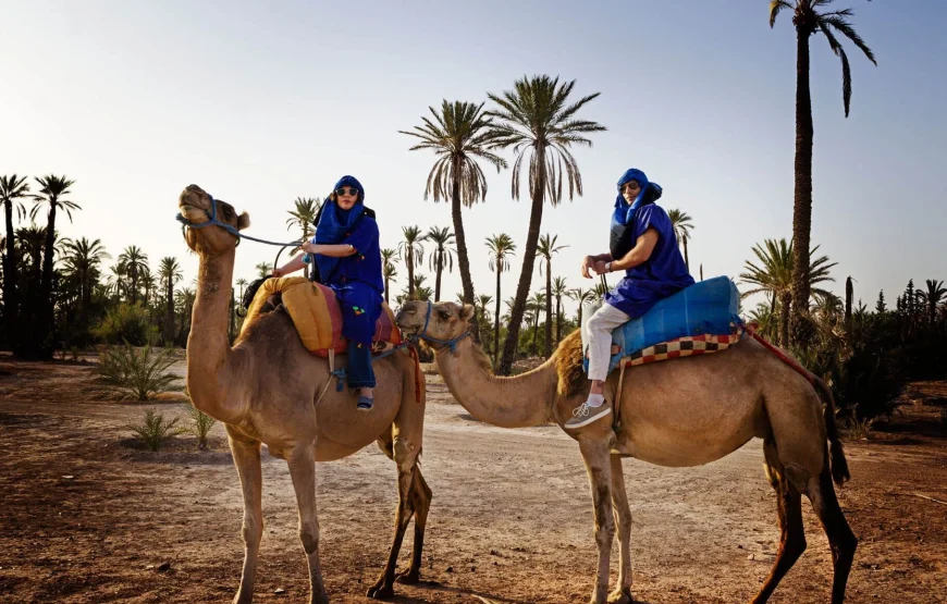 Escape to the Palmeraie: Camel Riding Adventure in the Oasis of Marrakech