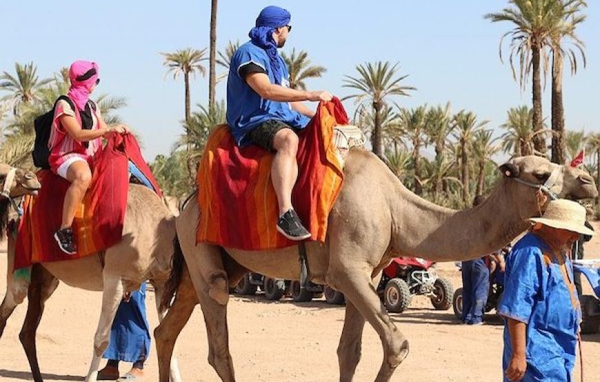 Escape to the Palmeraie: Camel Riding Adventure in the Oasis of Marrakech