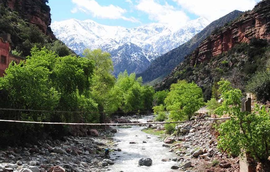 Discover the Beauty of Ourika Valley: A Day Trip from Marrakech