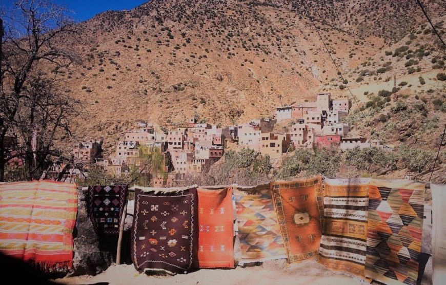 Discover the Beauty of Ourika Valley: A Day Trip from Marrakech