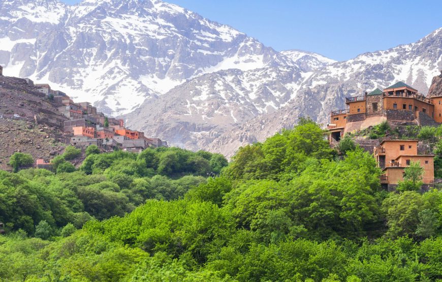 Discover the Beauty of Ourika Valley: A Day Trip from Marrakech