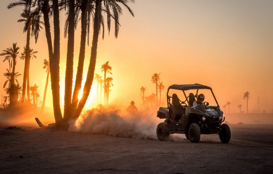 Escape to the Palmeraie: Quad Biking Adventure in the Oasis of Marrakech