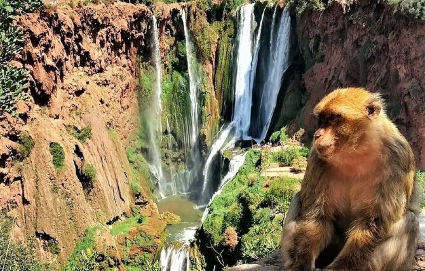 Escape to Ouzoud Falls: A day trip from Marrakech