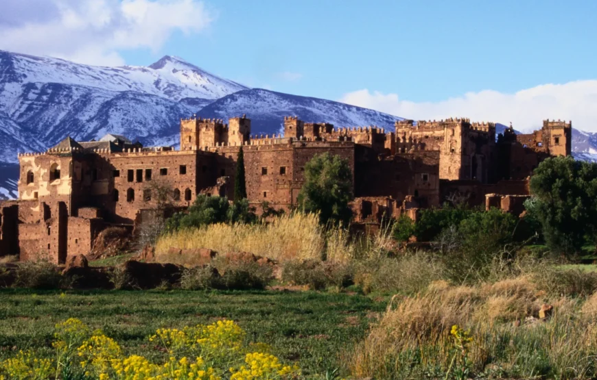 One-Day Sahara Desert Adventure: High Atlas Mountains and Historic Kasbahs