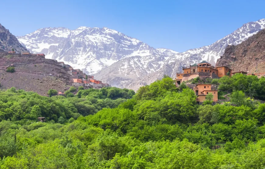 Discover the Berber village of Imlil : A Day Trip to the High Atlas and Toubkal National Park