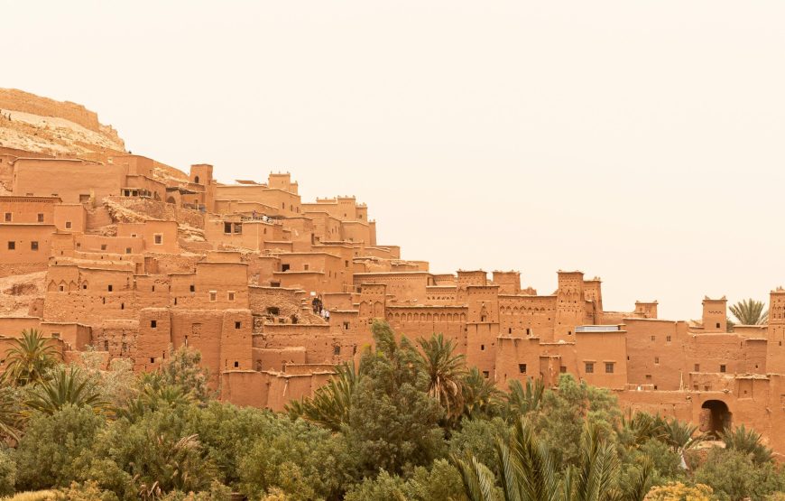 One-Day Sahara Desert Adventure: High Atlas Mountains and Historic Kasbahs