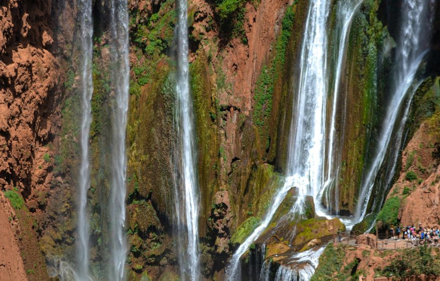 Escape to Ouzoud Falls: A day trip from Marrakech