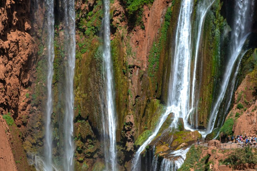 Escape to Ouzoud Falls: A day trip from Marrakech