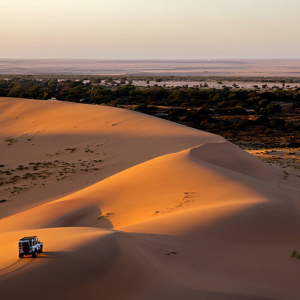 Safari Jeep in Sahara Emoji Traveling