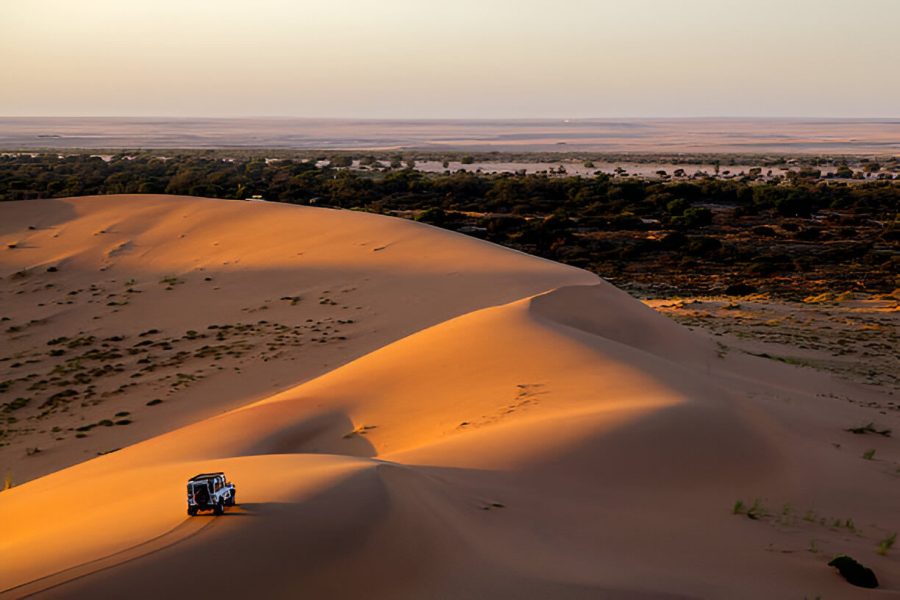 Jeep Safari in Sahara Emoji Traveling